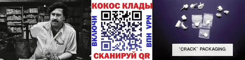 Cocaine FishScale  Купить закладки  Кушва 
