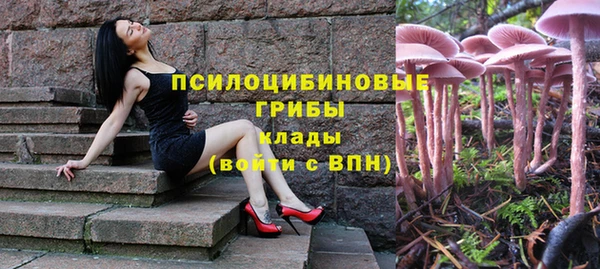 меф Белокуриха